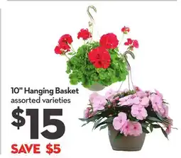 Longo's 10 Hanging Basket offer