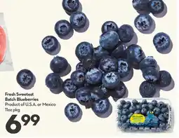 Longo's Fresh Sweetest Batch Blueberries offer