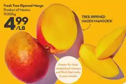 Longo's Fresh Tree-Ripened Mango offer