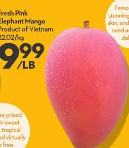 Longo's Fresh Pink Elephant Mango offer