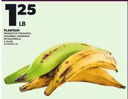Loblaws PLANTAIN offer