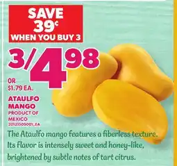 Loblaws ATAULFO MANGO offer
