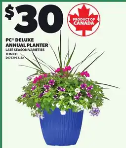 Loblaws PC DELUXE ANNUAL PLANTER, 11 INCH offer