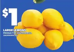Loblaws LARGE LEMONS offer