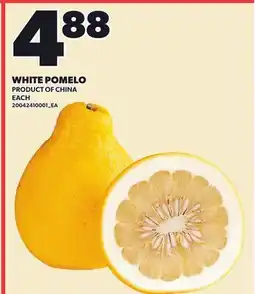 Loblaws WHITE POMELO offer