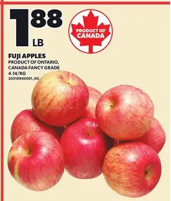 Loblaws FUJI APPLES offer