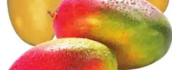 Food Basics RED MANGOES offer