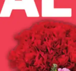 Food Basics 15 STEM CARNATIONS OR FRESHLY YOURS BOUQUET offer