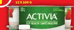 Food Basics ACTIVIA offer