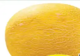 Food Basics HAMI MELON OR CANARY MELON offer