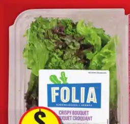 Food Basics SWEET/CANADIAN PEPPERS, or FOLIA CRISPY OR CRUNCHY LETTUCE offer