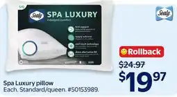 Walmart Spa Luxury pillow offer