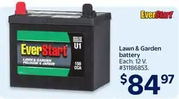Walmart Lawn & Garden battery offer
