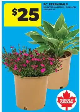 Real Canadian Superstore PC PERENNIALS, 2 GALLON offer