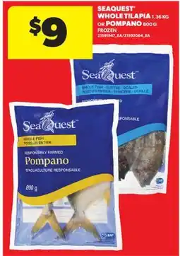 Real Canadian Superstore SEAQUEST WHOLE TILAPIA, 1.36 KG OR POMPANO, 800 G offer
