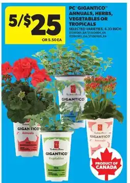 Real Canadian Superstore PC GIGANTICO ANNUALS, HERBS, VEGETABLES OR TROPICALS, 4.33 INCH offer