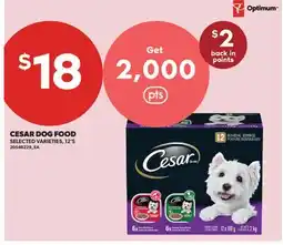 Real Canadian Superstore CESAR DOG FOOD, 12'S offer