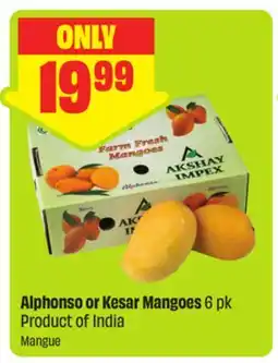 FreshCo Alphonso or Kesar Mangoes 6 pk Product of India offer