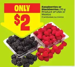 FreshCo Raspberries or Blackberries 170 g Product of USA or Mexico offer