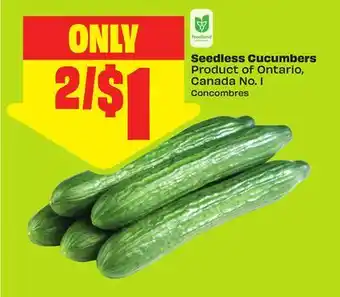 FreshCo Seedless Cucumbers Product of Ontario, Canada No. 1 offer