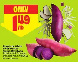 FreshCo Purple or White Flesh Purple Sweet Potatoes Product of Ontario Canada No. 1, 328/kg - dragon boat offer
