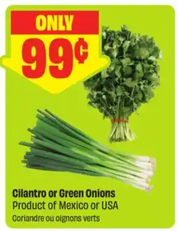 FreshCo Cilantro or Green Onions Product of Mexico or USA offer