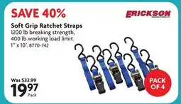 Home Hardware Soft Grip Ratchet Straps offer
