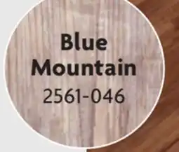 Home Hardware Lay Vinyl Plank Flooring offer