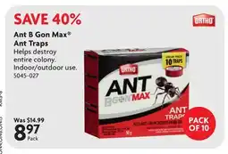 Home Hardware Ant B Gon Max Ant Traps offer