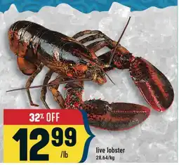 Marché Adonis live lobster offer