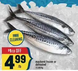 Marché Adonis mackerel frozen or defrosted offer
