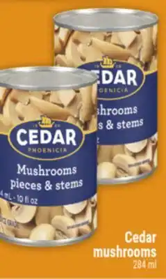 Marché Adonis Cedar mushrooms offer
