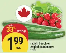 Marché Adonis radish bunch or english cucumbers offer
