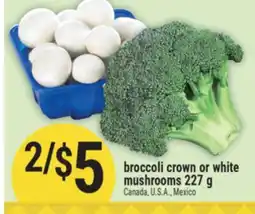 Marché Adonis broccoli crown or white mushrooms offer