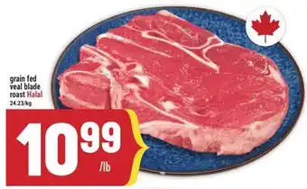 Marché Adonis grain fed veal blade roast Halal offer