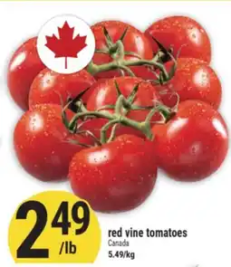 Marché Adonis red vine tomatoes offer