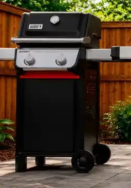 RONA Spirit E-210, 26,600 BTU, 2 burners offer