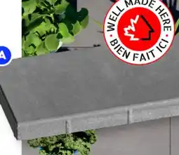 RONA St-Clair patio slab offer