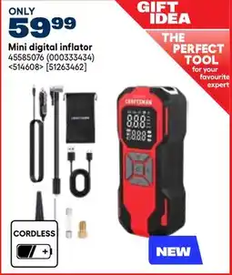 RONA Mini digital inflator offer