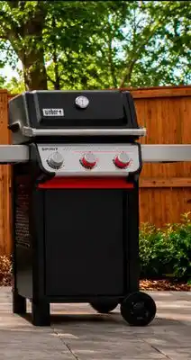 RONA WEBER Spirit grills offer