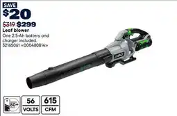 RONA Leaf blower offer