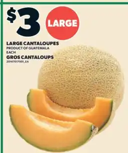Valu-mart GROS CANTALOUPS offer