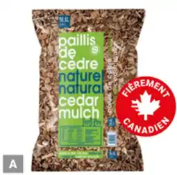 BMR PAILLIS DE CÈDRE offer