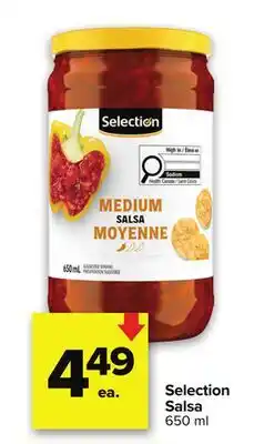 Metro SELECTION SALSA offer