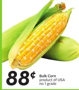 Sobeys Bulk Corn offer