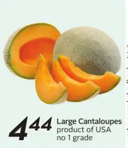 Sobeys Large Cantaloupes offer