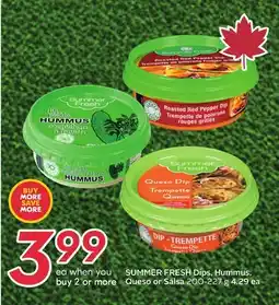 Sobeys Dips, Hummus, Queso or Salsa offer