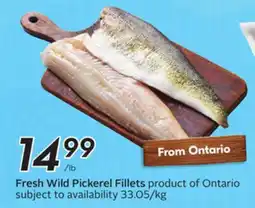 Sobeys Fresh Wild Pickerel Fillets offer