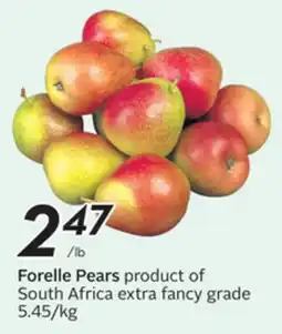 Sobeys Forelle Pears offer