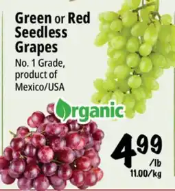 Farm Boy Green or Red Seedless Grapes offer